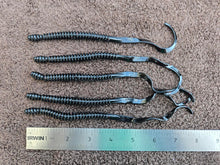 Load image into Gallery viewer, Killer 6&quot; Black Ring Worms - 5pk