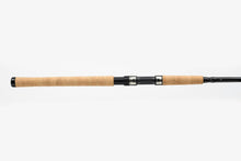 Load image into Gallery viewer, Spinning Rod #1S, 12-20lb